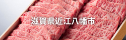 滋賀県近江八幡市