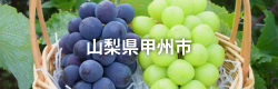 山梨県甲州市