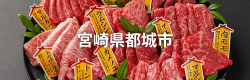 宮崎県都城市
