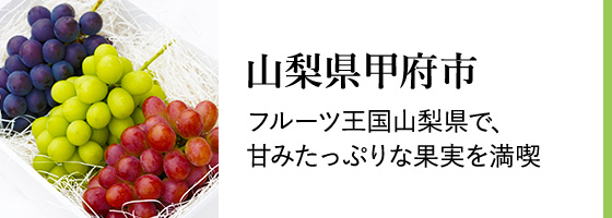 稚内うろこ市の返礼品 検索結果 | ふるさと納税サイト「ふるなび」