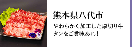 富山干し柿の返礼品 検索結果 | ふるさと納税サイト「ふるなび」