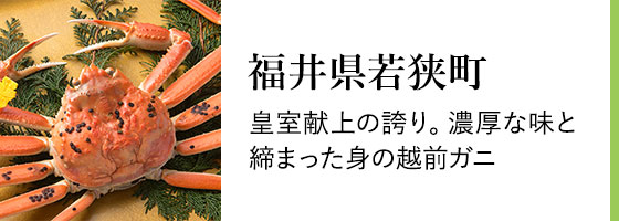 炉端かばのふるさと納税 返礼品 検索結果 | ふるさと納税サイト
