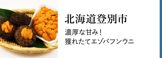 村上隆のふるさと納税 返礼品 検索結果 | ふるさと納税サイト