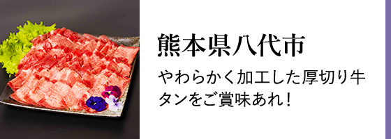 ポータブル電源 1500Wのふるさと納税 返礼品 検索結果 ポータブル電源 1500Wのふるさと納税 返礼品 検索結果