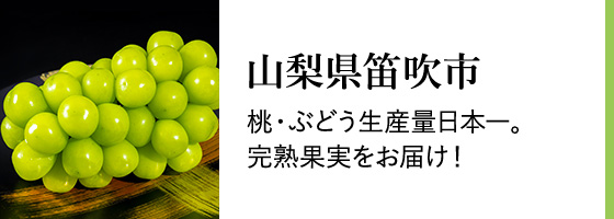 山梨県笛吹市