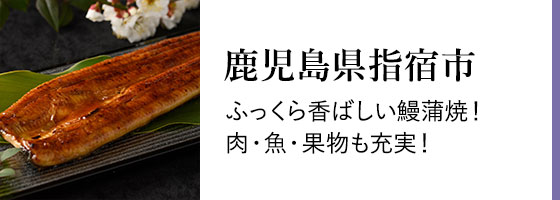 鹿児島県指宿市