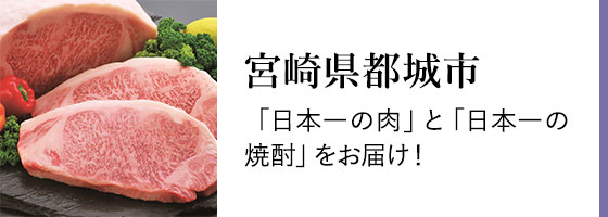 宮崎県都城市
