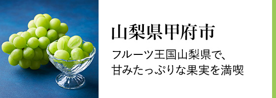 山梨県甲府市