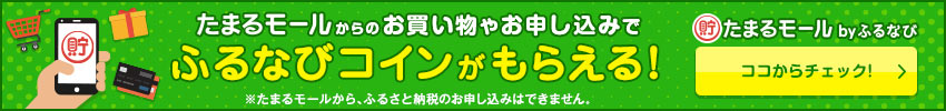 たまるモールからのお買い物やお申し込みでふるなびコインがもらえる!たまるモールbyふるなびをチェック!