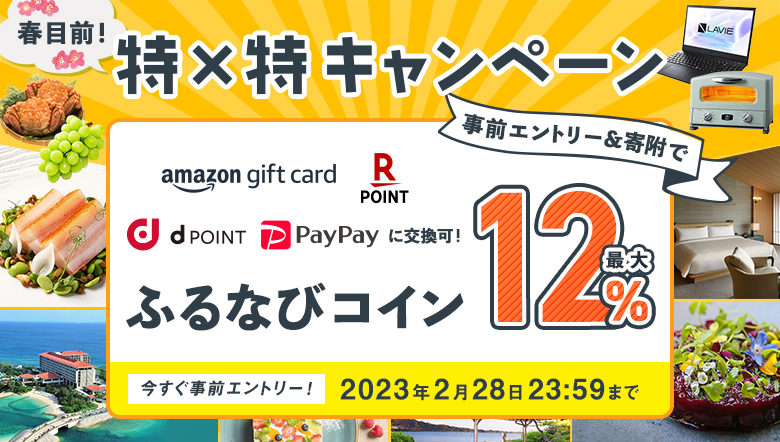 ふるさと納税サイト【ふるなび】AmazonギフトカードやPayPay残高等がもらえる！