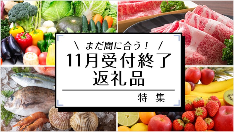 まだ間に合う！11月受付終了の返礼品特集