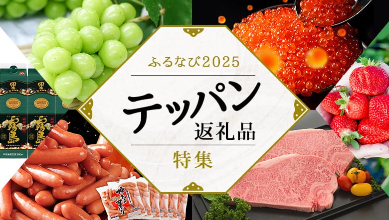 ふるなび2025 テッパン返礼品特集