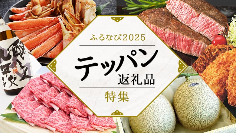 ふるなび2025 テッパン返礼品特集