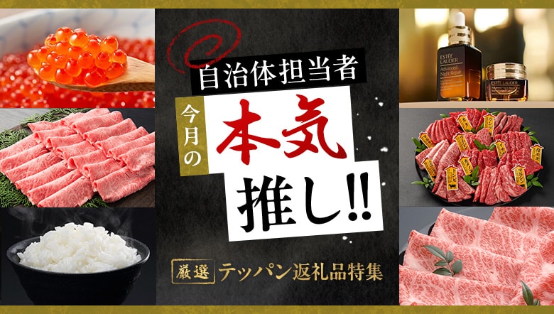 ふるなび2026 テッパン返礼品特集