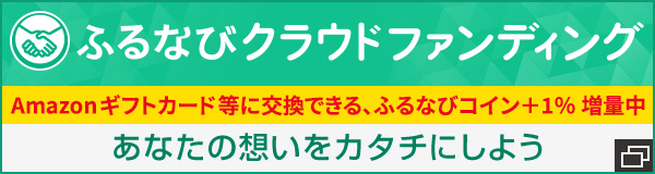 ふるさと納税代行サービス ふるなびプレミアム 高額所得者向けふるさと納税