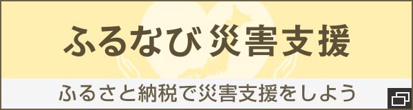 ふるさと納税代行サービス ふるなびプレミアム 高額所得者向けふるさと納税