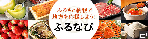 ふるさと納税代行サービス ふるなびプレミアム 高額所得者向けふるさと納税