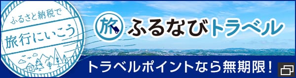 ふるさと納税代行サービス ふるなびプレミアム 高額所得者向けふるさと納税