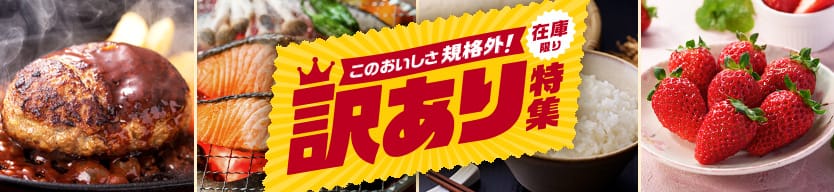 人気カテゴリー別！訳あり返礼品特集