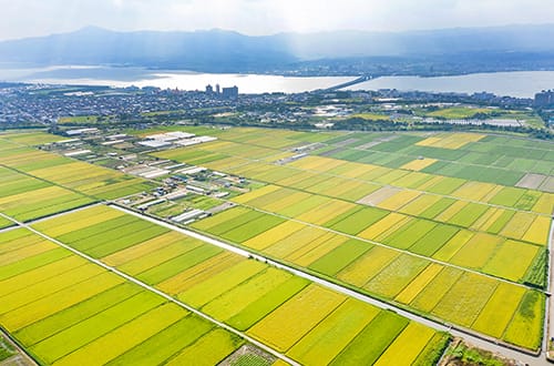 ふるさと納税 滋賀県守山市の自治体紹介｜ふるさと納税サイト「ふるなび」