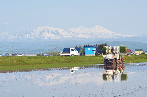 ふるさと納税 北海道鷹栖町の自治体紹介｜ふるさと納税サイト「ふるなび」