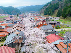 ふるさと納税 岡山県新庄村の自治体紹介｜ふるさと納税サイト「ふるなび」