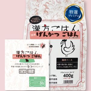 漢方ごはん改めげんかつごはん木(ドライ400g+レトルト1個)セット