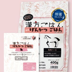 漢方ごはん改めげんかつごはん金(ドライ400g+レトルト1個)セット