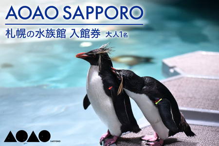 AOAO SAPPORO 入館券