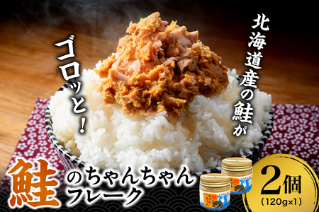 ̂񂿂t[N 120gi2j