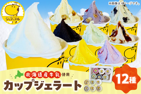 カップジェラートセット(12種類)