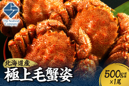 極上毛蟹姿 500g前後×1尾