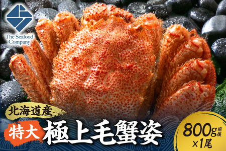 特大極上毛蟹姿 800g前後×1尾