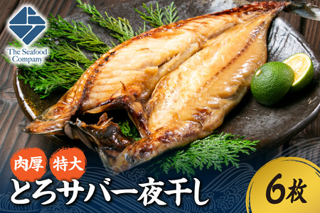 肉厚！特大とろサバ一夜干し 6枚セット サバ 鯖