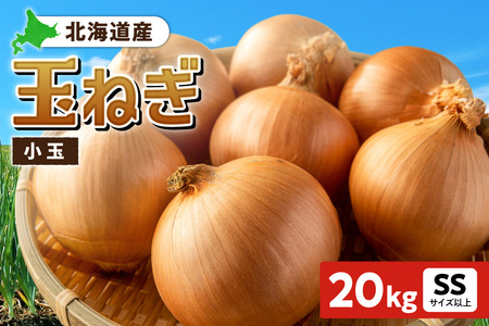 ʂ˂ kCY  20kg SSTCYȏ