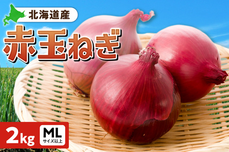 ԋʂ˂ kCY 2kg MLTCYȏ