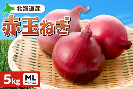 ԋʂ˂ kCY 5kg MLTCYȏ