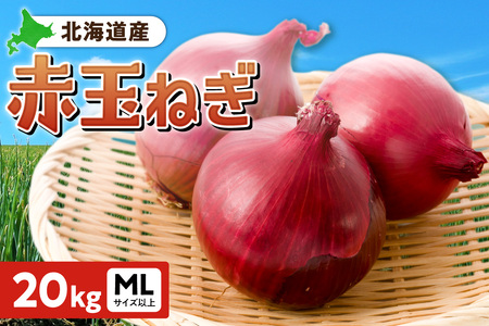 ԋʂ˂ kCY 20kg MLTCYȏ