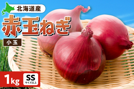 赤玉ねぎ 北海道産 小玉 1kg SSサイズ以上