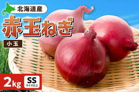 ԋʂ˂ kCY  2kg SSTCYȏ