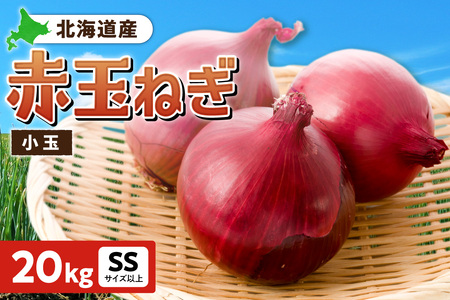 ԋʂ˂ kCY  20kg SSTCYȏ