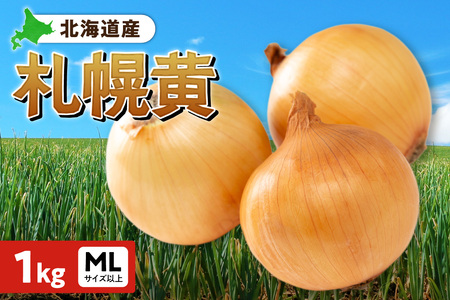 札幌黄 玉ねぎ 北海道産 1kg MLサイズ以上