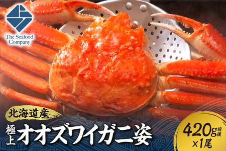 北海道産極上オオズワイガニ姿 420g前後×1尾