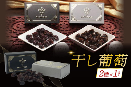 北海道完全無添加干し葡萄 DIONYSOS2種セット×1セット