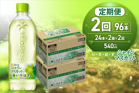 [2ヶ月定期便]い・ろ・は・す シャインマスカット540mlPET×48本|コカ・コーラ 飲料 ドリンク 飲み物 水 北海道 札幌市
