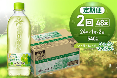 [2ヶ月定期便]い・ろ・は・す シャインマスカット540mlPET×24本|コカ・コーラ 飲料 ドリンク 飲み物 水 北海道 札幌市