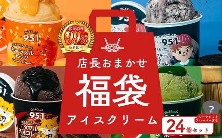 y܁z951ACXN[@24ZbgbXC[c kC Dys