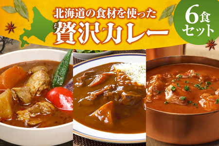 北海道の食材を使った贅沢カレー6食セット|スープカレー バターチキンカレー ビーフカレー 北海道 札幌市