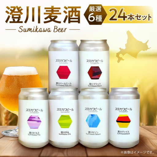澄川麦酒厳選24本セット｜地ビール クラフトビール ビール 晩酌 北海道 札幌市