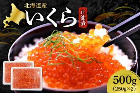 �����琳���Ё@250g×2�b�C�N�� ���� �ݖ��Ђ� �k�C�� �D�y�s